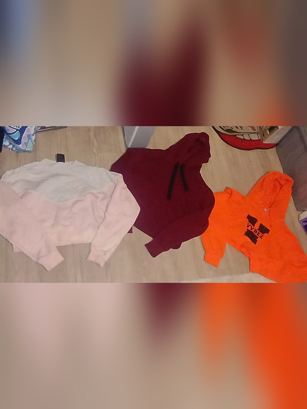 Cropped hoodie/Sweater Lot